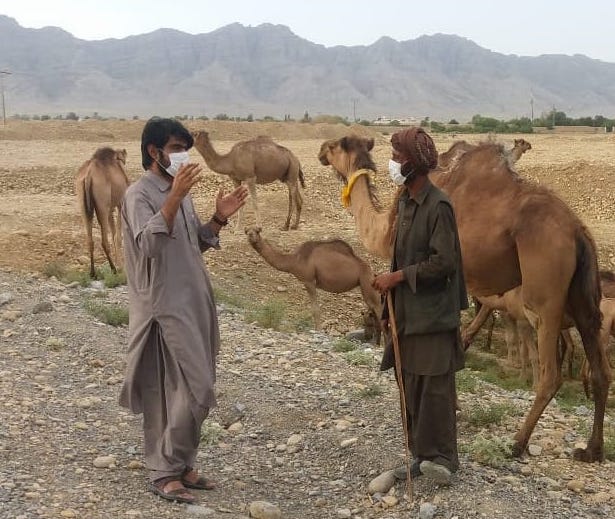 Figure-2-August-05-2020-District-Loralai-Balochistan-Dr